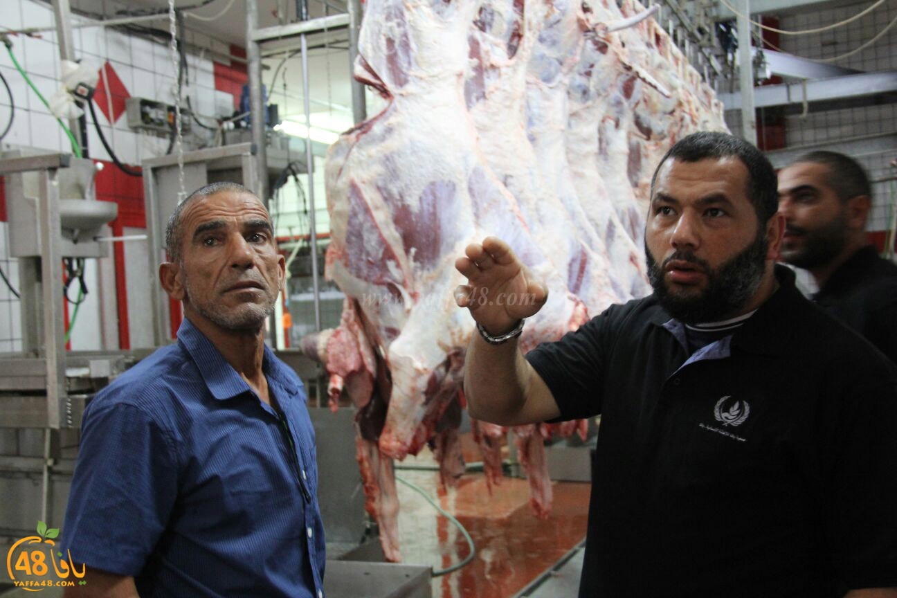 jam3iya yaffa 3ojolej (7).jpg